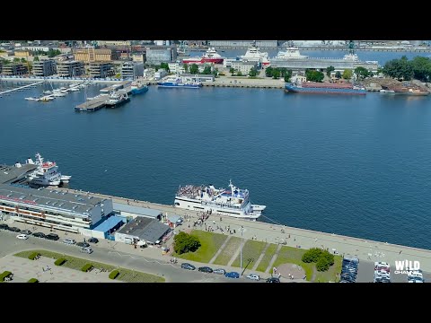 Deaf Can Dance dj set @ Big Boat Party - Gdynia [14.07.2019]