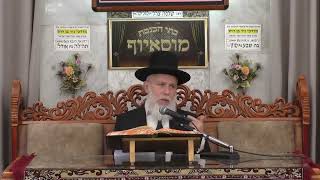 הרב זמיר כהן  •  הלכה ומוסר (בית הכנסת מוסאיוף) - התמונה מוצגת ישירות מתוך אתר האינטרנט יוטיוב. זכויות היוצרים בתמונה שייכות ליוצרה. קישור קרדיט למקור התוכן נמצא בתוך דף הסרטון