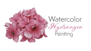 Painting realistic pink Hydrangea flower with watercolors 🌺 simple way to create texture