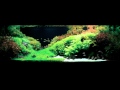 Aquarium Life - Berg Sans Nipple