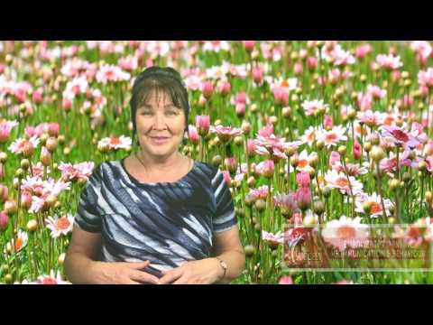 The #1 Tip for Direct Sales Productivity