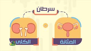 صورة المحاضرة 5 - محبة النبي ﷺ للأنصار - السيرة النبوية - المستوى الرابع - الشيخ عاصم الحكيم