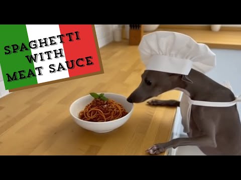[Recipe]Making an easy & delicious spaghetti with pet chef. #dog #greyhound