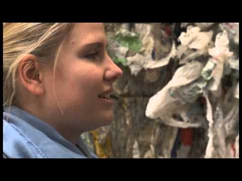 Weltgiganten kommen nach Schwerin