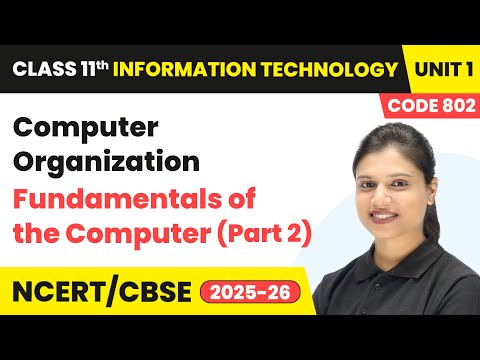 Class 11 Information Technology Book Overview Course Code 802
