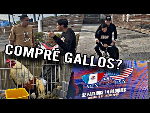 I'M GOING TO THE BEACH WITH MY FRIENDS CHICKEN AND RABBIT FOR THIS EVENT |ELKC|