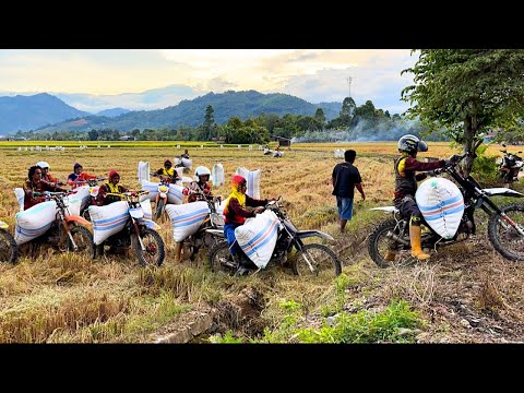 Ojek gabah dengan jam terbang yang sudah suhu