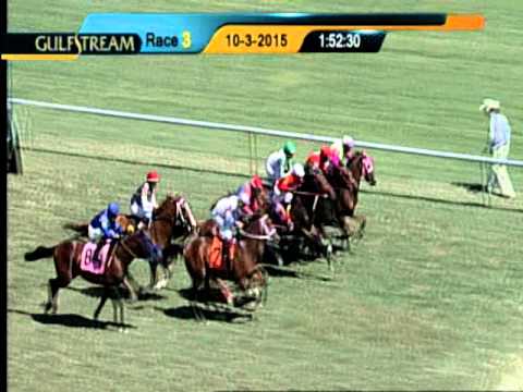 Gulfstream Park Race 3 | October 3, 2015