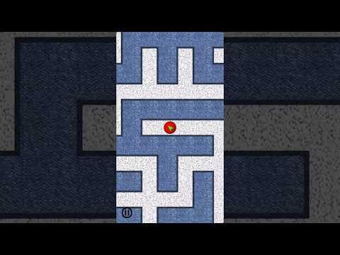 Exit Blind Maze Labyrinth Video