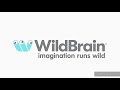 WildBrain 2020