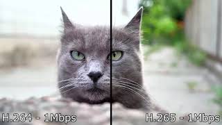 H.264 vs H.265 comparison (4K)