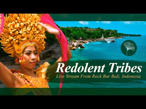 Redolent Live Stream from Rock Bar Bali 2023