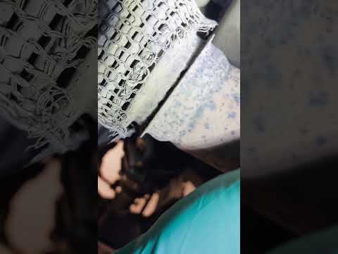 IMG 1679
