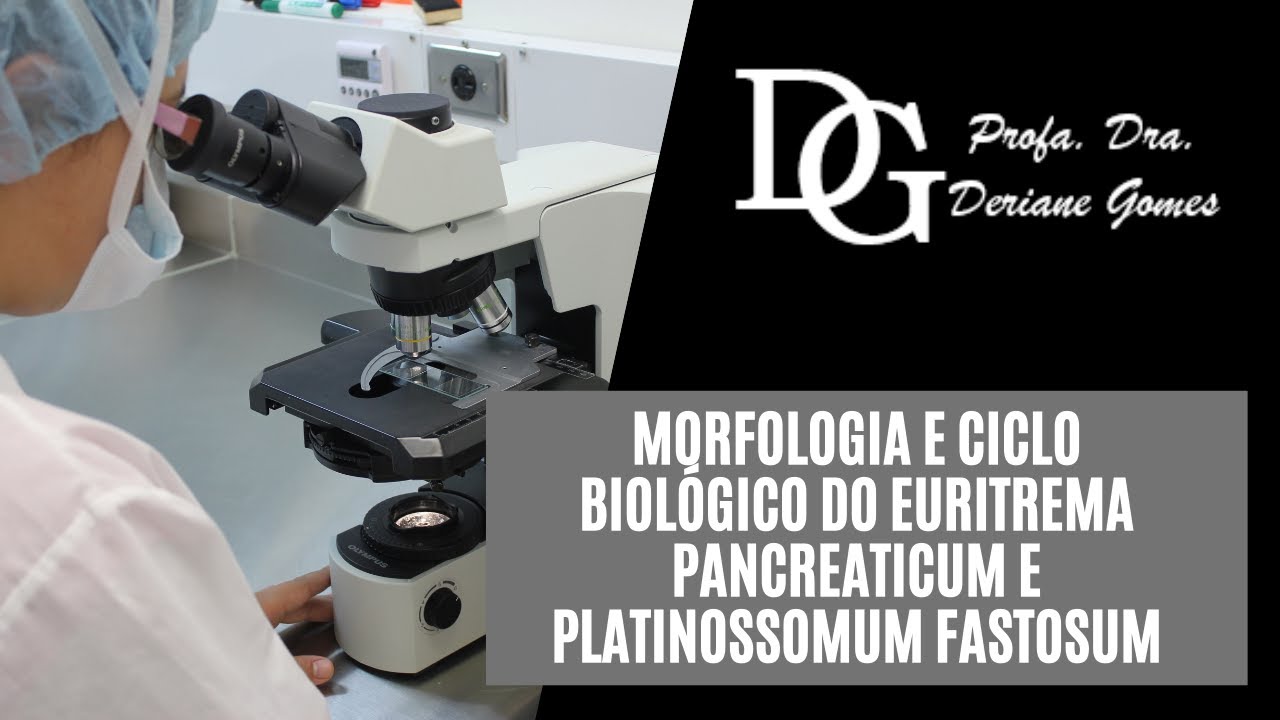080.  Morfologia e Ciclo Biológico do Eurytrema pancreaticum e Platinossomum fastosum