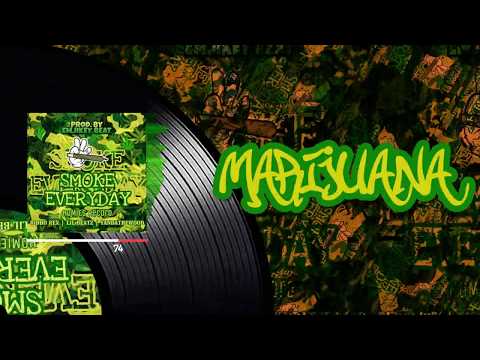 LIL BEATZ - SMOKE EVERYDAY FT RIDHO REX & YANDATHEWOOD (LYRIC VIDEO)