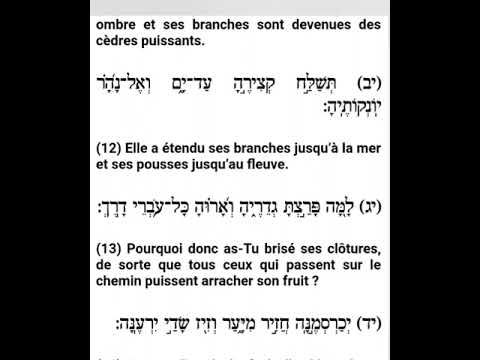 Tehilim - Psaume 80 : Chanté en Hébreu sous titré en francais