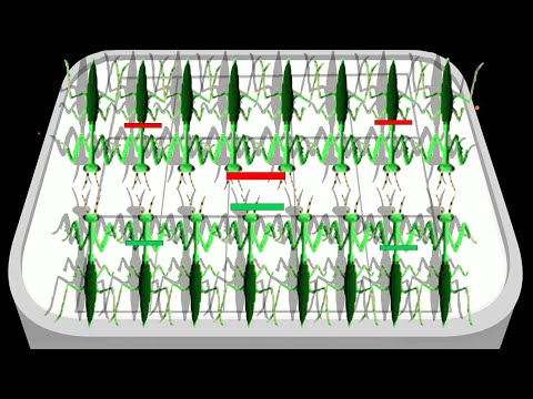 MODDED - Unlimited Coin - Merge Ant Insect Fusion FIghting Games -  Gameplay (47)