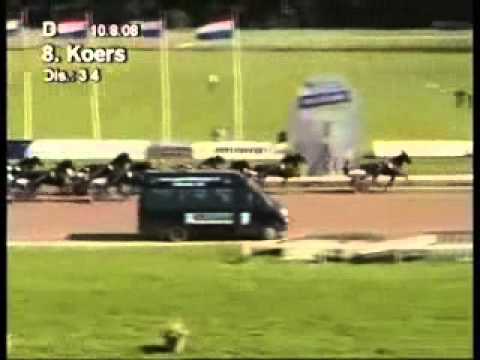 Derby "Y" Nederland 2008 -Yucca Boko