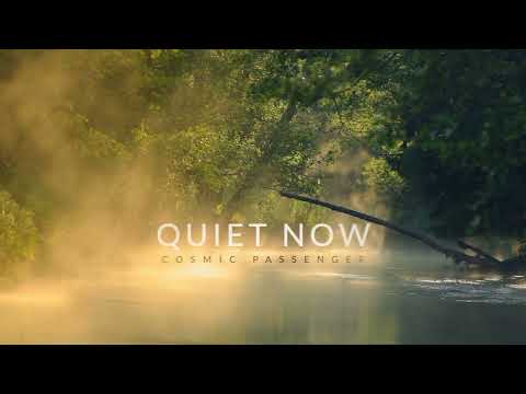 cosmic passenger:quiet now