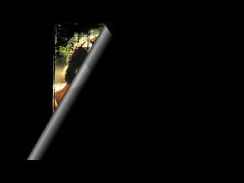 Luiz Gonzaga e Fagner