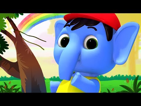 EDUCATION VIDEO EDUCATION VIDEO