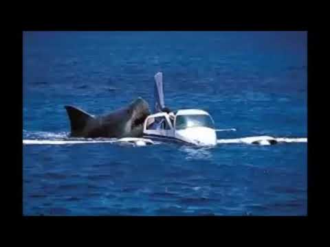 Megalodon Shark Attack Caught On Tape Attacking Crashed Air Plane Off Coast of Cambodia real or fake