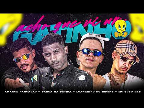 BARCA NA BATIDA, LUANZINHO DO RECIFE, AMARCA PANCADÃO, MC GUTO VGS - ACHO QUE VI UM GATINHO