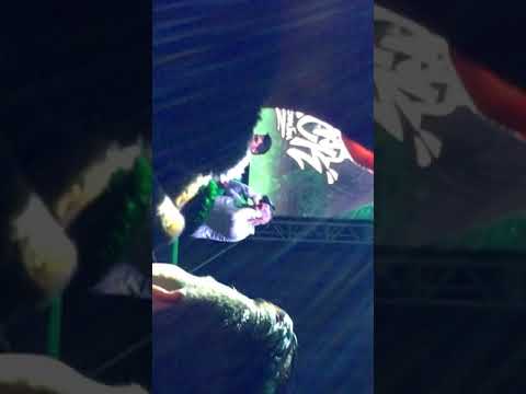 Aczino vs Jack adrenalina *buena calidad desde el público * FMS Jornada 9