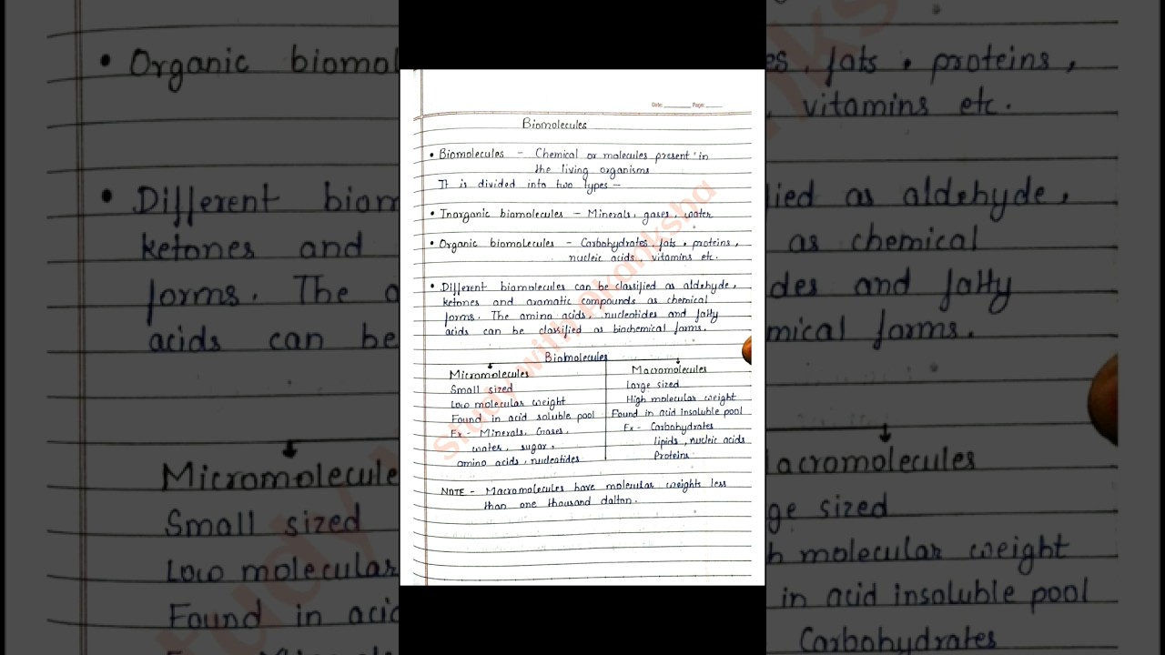 Class 11 biology | Biomolecules handwritten notes | CBSE | NEET | NCERT | BSEB | BOARD | JEE | NOTES