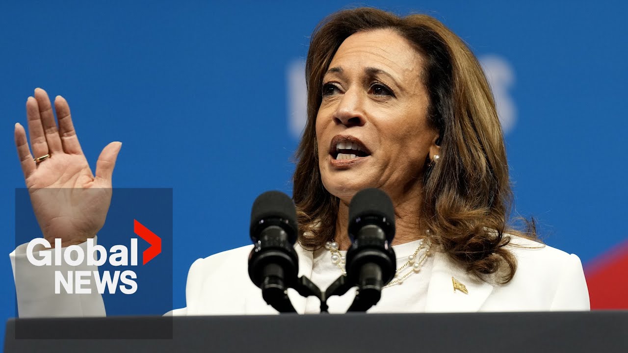 US election 2024: Harris' 1st campaign interview sparks reaction over policy positions