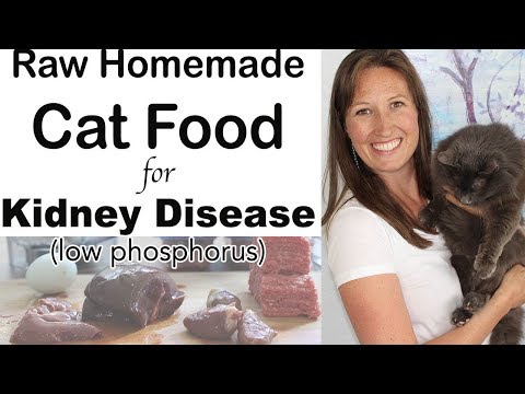 Homemade Cat Food for Kidney Disease Diet (raw, easy, inexpensive)