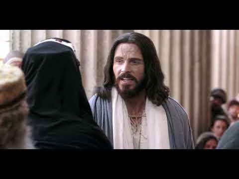 Christ's Authority is Questioned