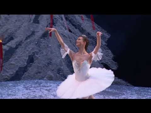 Dance of the Sugar Plum Fairy (accompanied by the Portsmouth Sinfonia)