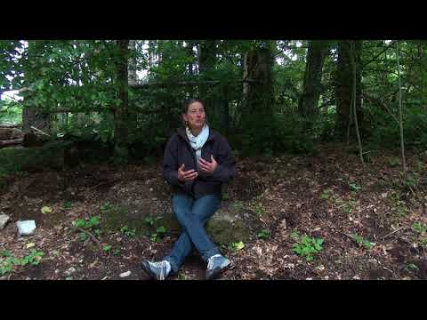 Le cercle néo-chamanique, Col du Marchairuz (Suisse)