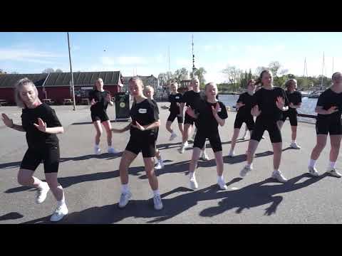 Feminine vibe 1,5 - Dansstationen Mariestad VT-20