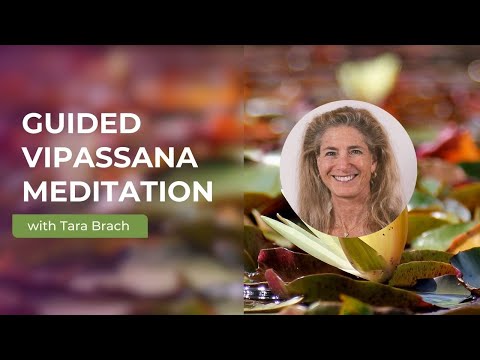 Guided Vipassana (Insight or Mindfulness) Meditation with Tara Brach