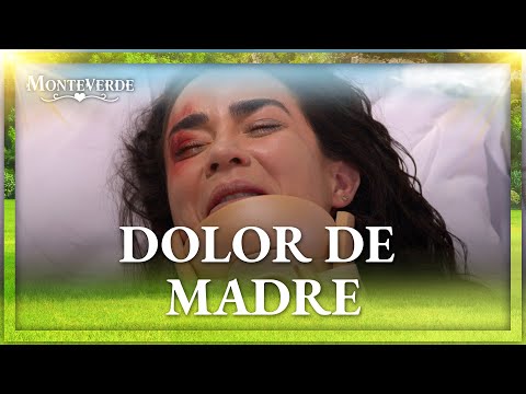Rosalía pierde a su bebé | Monteverde 1/4 | Capítulo 66