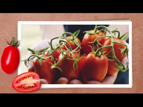 100% italienische Tomaten