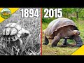 Top 10 Longest Living Animals
