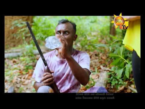 Hiru TV