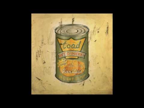 Toad The Wet Sprocket - Good Intentions