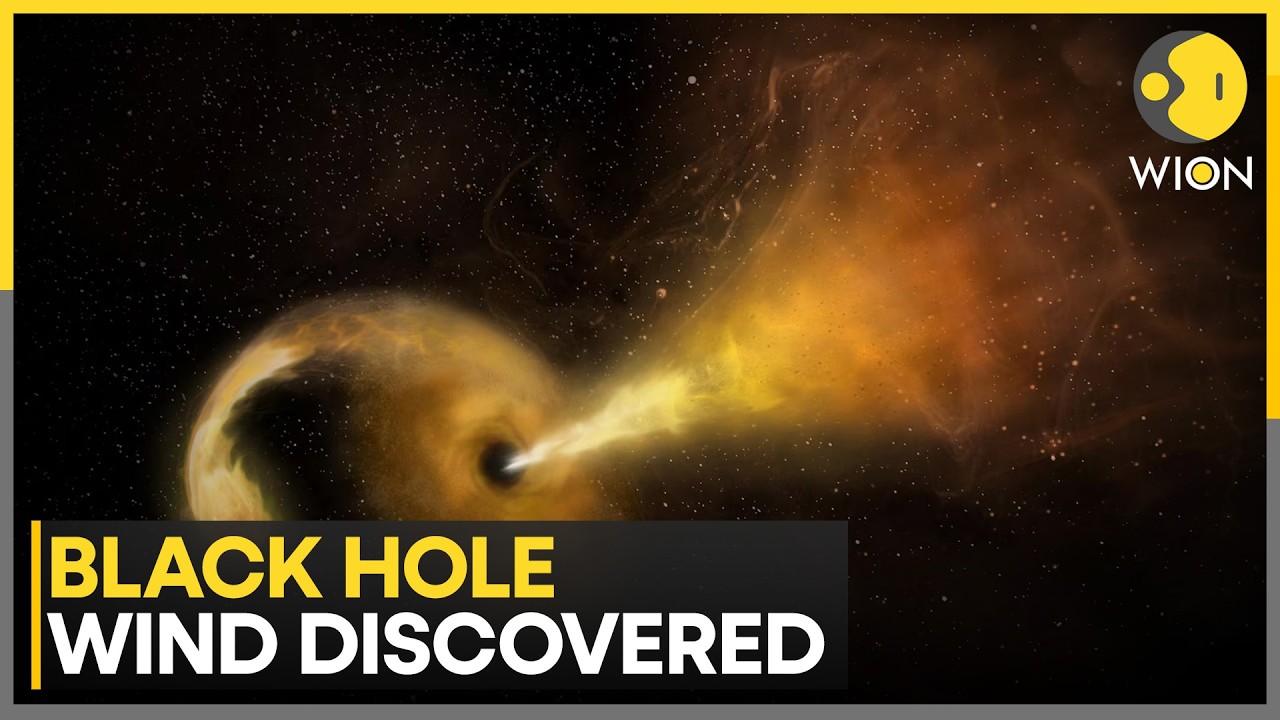 Milky Way's Supermassive Black Hole Found Blowing Cosmic Breeze | WION