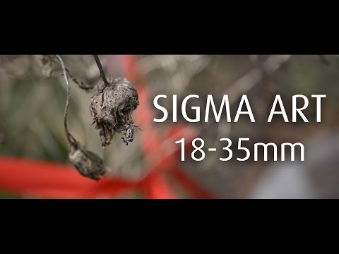 Sigma 18-35mm @ f1.8 | shooting in the backyard | Nikon D7100