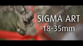 Sigma 18-35mm @ f1.8 | shooting in the backyard | Nikon D7100