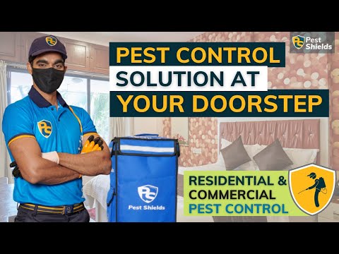 Spray chemical based industrial misting pest control service