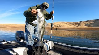 SPOOKS AND POPPERS ALL DAY TOPWATER ACTION MUCHO PESCADO NOVEMBER 2020 SAN LUIS RESERVOIR