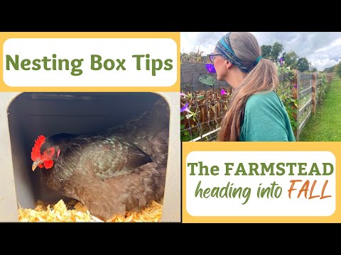 , title : 'NESTING BOX TIPS you NEED to Know, How to Make an Easy Nest Box, and Watching the Seasons Change'