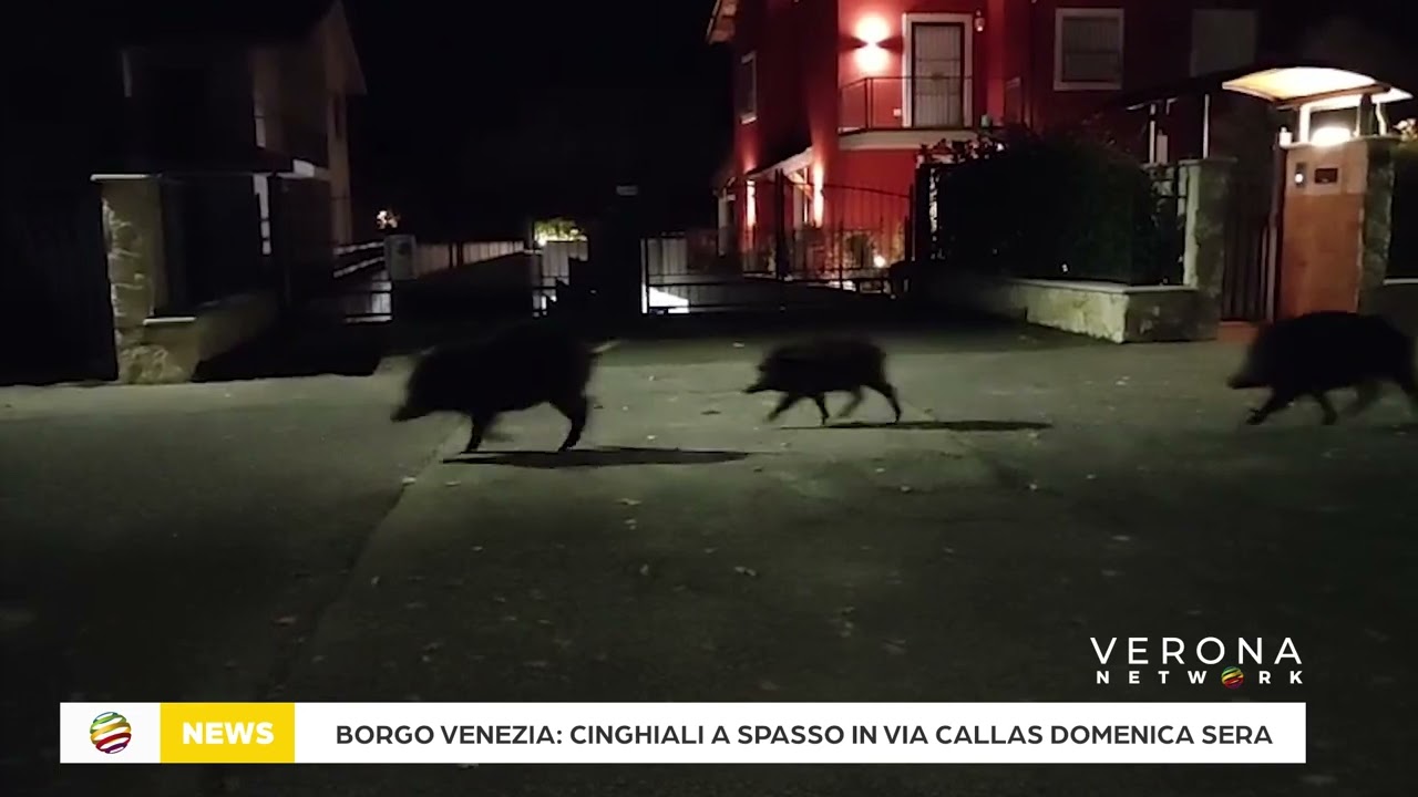 Descrizione dell'immagine