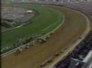 Alysheba - 1987 Kentucky Derby