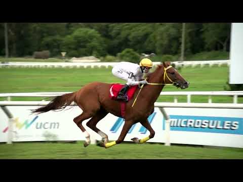 220205 c06 - HAVASU -  HIPODROMO MAROÑAS